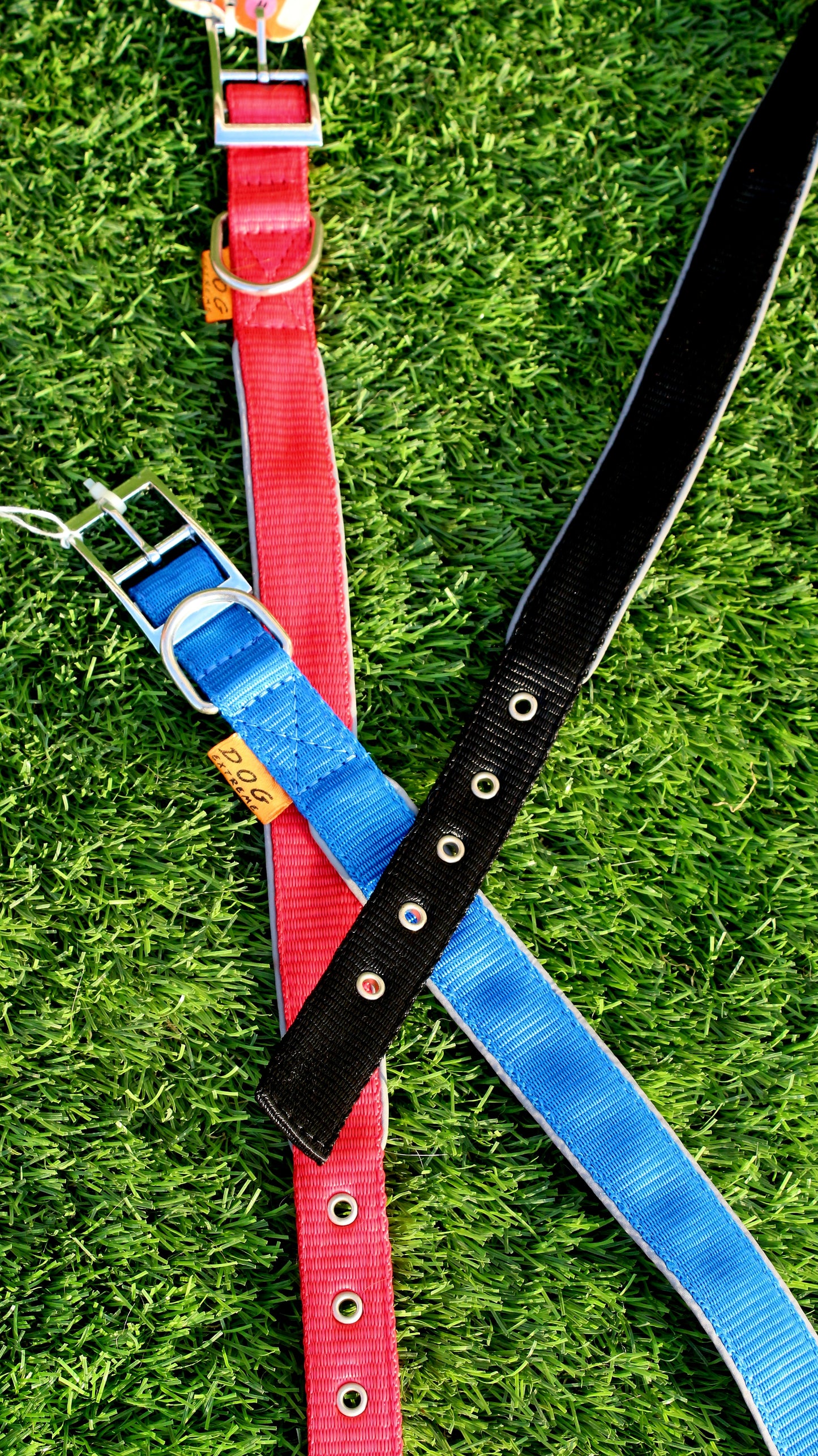 CoLLar double Nylon Dog Extreme