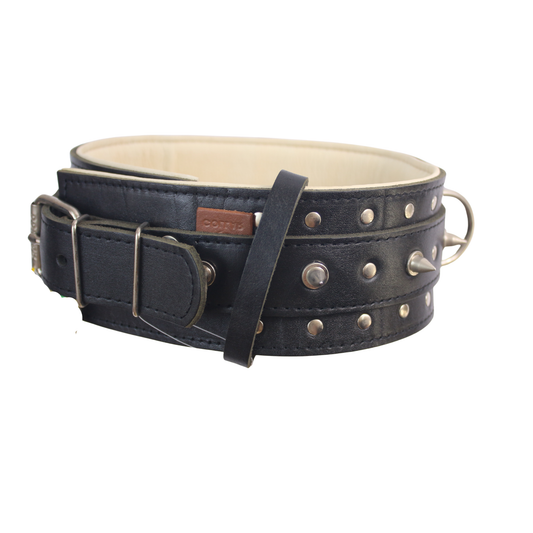 2-ply spiked leather collar "CoLLaR" Rocky