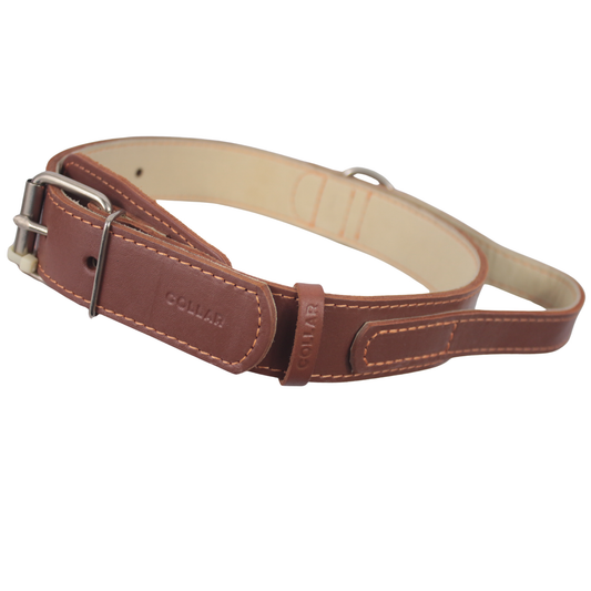 Double collar "CoLLaR" with a handle