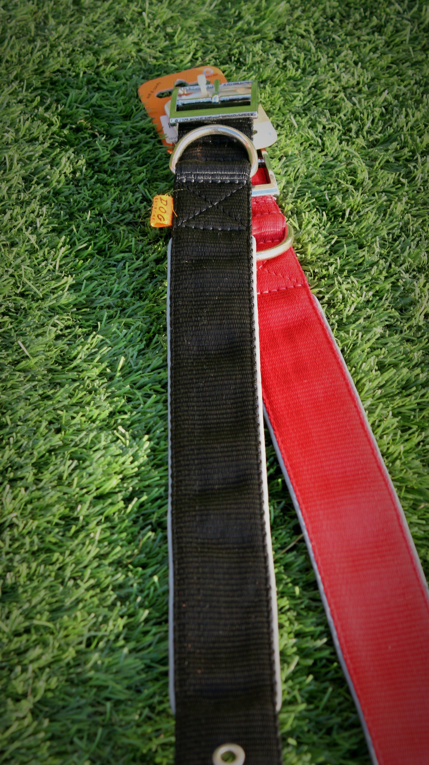 CoLLar double Nylon Dog Extreme