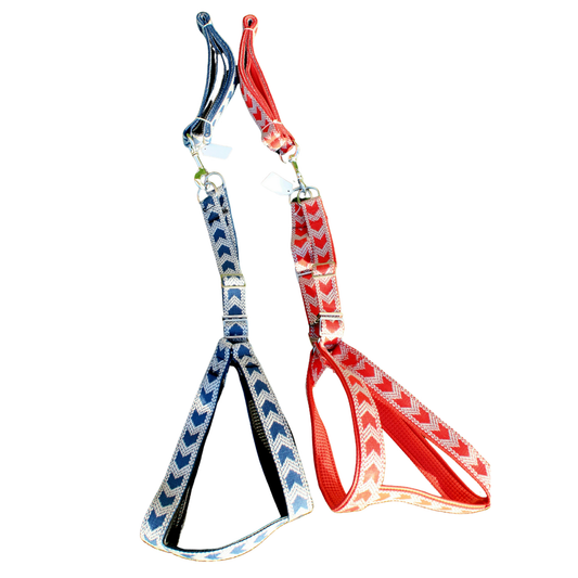 High-Quality Harness with Leash